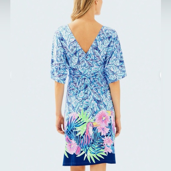 Lilly Pulitzer Parigi Dress in Bennet Blue “Let’s Mango” Pattern Size Small - Picture 3 of 10